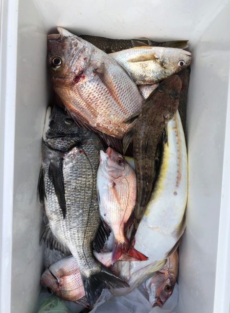 フィッシング　キッタカ 釣果