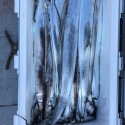 フィッシング キッタカ 釣果