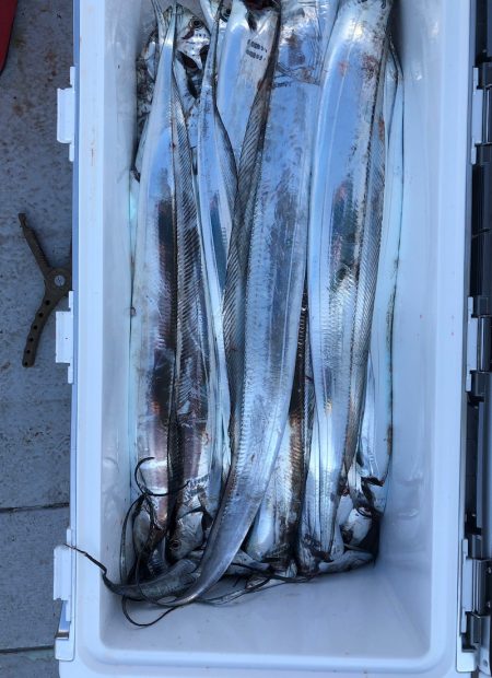 フィッシング キッタカ 釣果