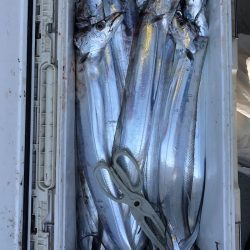 フィッシング キッタカ 釣果