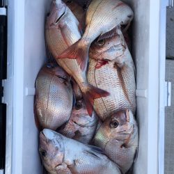 フィッシング　キッタカ 釣果