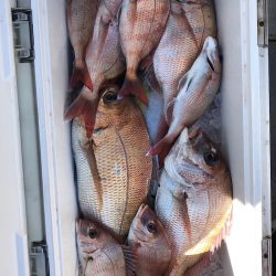 フィッシング　キッタカ 釣果