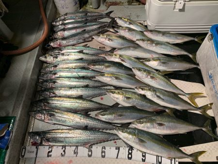 オーシャンスター(Ocean Star) …