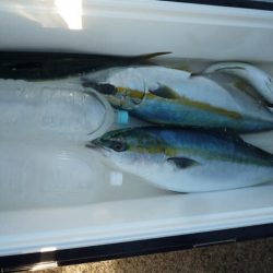 浅間丸 釣果