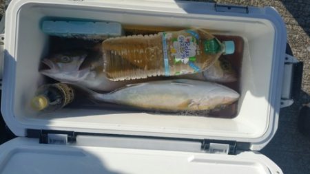 第五慶門丸 釣果