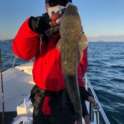 Magic（マジック） 釣果