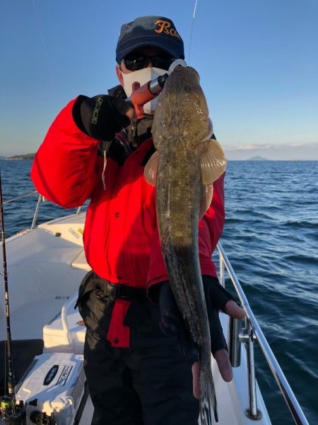 Magic（マジック） 釣果