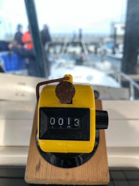 Magic（マジック） 釣果