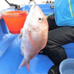 鯛紅丸 釣果