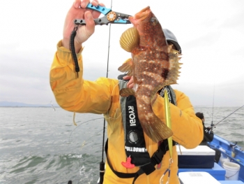 鯛紅丸 釣果