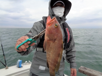 鯛紅丸 釣果