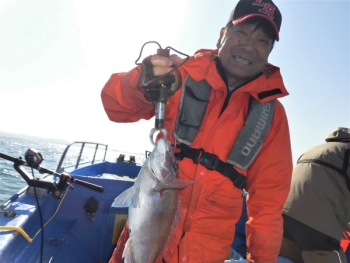 鯛紅丸 釣果
