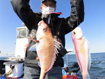 鯛紅丸 釣果