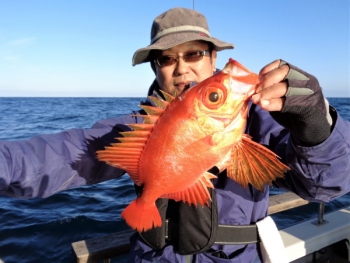 鯛紅丸 釣果