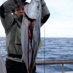 鯛紅丸 釣果