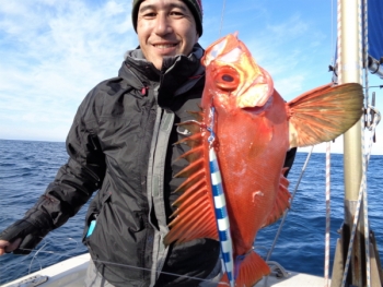 鯛紅丸 釣果