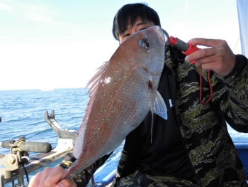 鯛紅丸 釣果