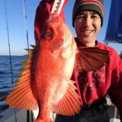 鯛紅丸 釣果