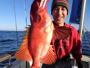 鯛紅丸 釣果