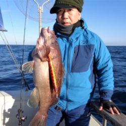鯛紅丸 釣果