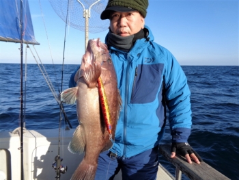 鯛紅丸 釣果