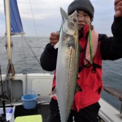 鯛紅丸 釣果