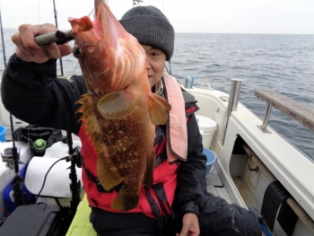 鯛紅丸 釣果