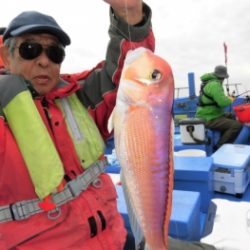 鯛紅丸 釣果