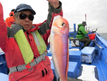 鯛紅丸 釣果