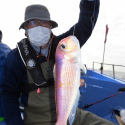 鯛紅丸 釣果