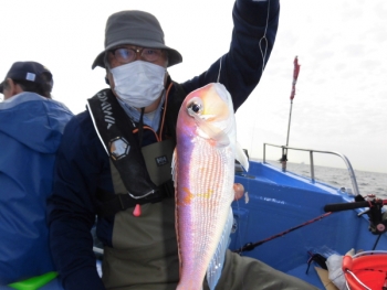 鯛紅丸 釣果