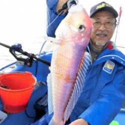 鯛紅丸 釣果