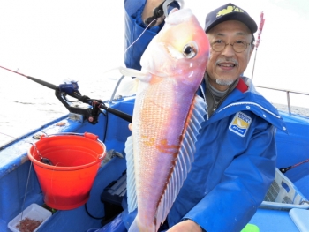 鯛紅丸 釣果