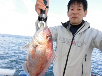 鯛紅丸 釣果