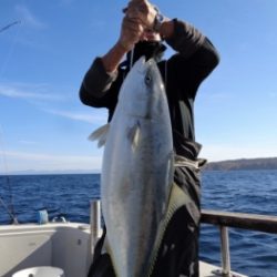 鯛紅丸 釣果