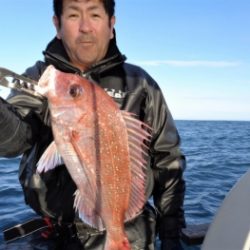 鯛紅丸 釣果