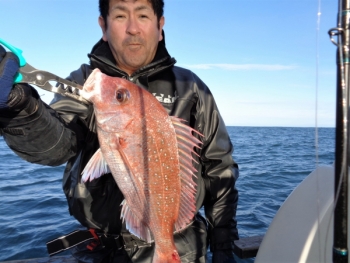 鯛紅丸 釣果