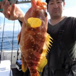 鯛紅丸 釣果