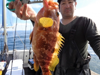 鯛紅丸 釣果