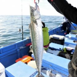 鯛紅丸 釣果