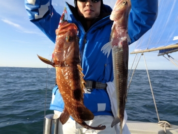 鯛紅丸 釣果