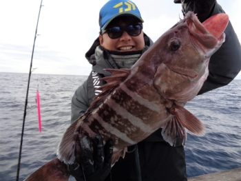 鯛紅丸 釣果