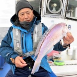 鯛紅丸 釣果