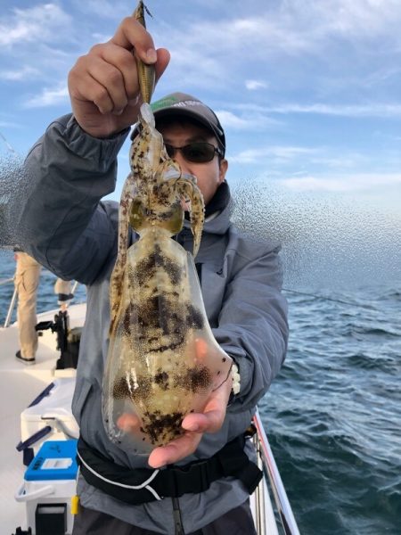 Magic（マジック） 釣果