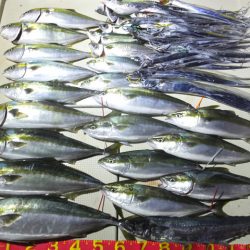 Hit Rush(ヒット ラッシュ） 釣果