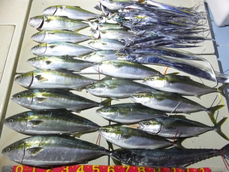 Hit Rush(ヒット ラッシュ） 釣果…