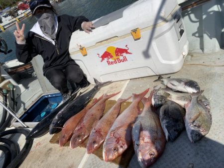 釣船 浦島太郎 釣果