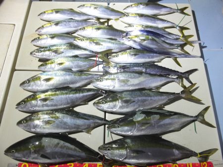 Hit Rush(ヒット ラッシュ） 釣果…