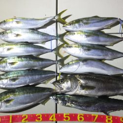 Hit Rush(ヒット ラッシュ） 釣果