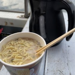釣船 浦島太郎 釣果